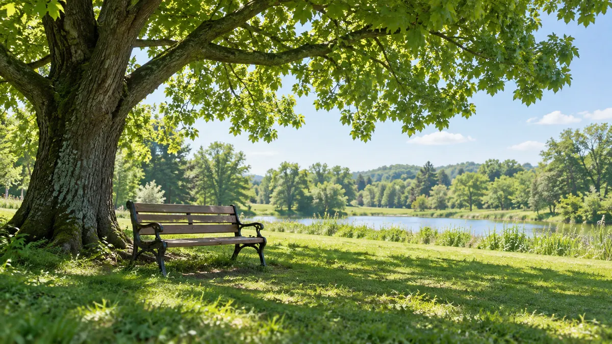 晴れた公園の大きな木の下、木陰に置かれた木のベンチ